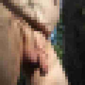 Obelix25