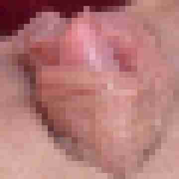 Waldgeil