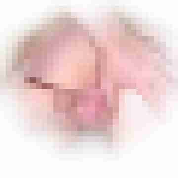 meikmoni