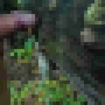Outdoor_55er