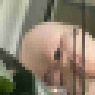 baby_pig