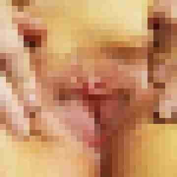 Nymphomanin33