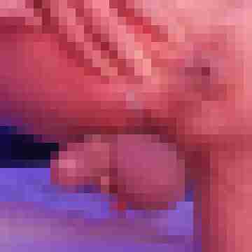 jimmbob006