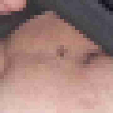 COCK-Lover