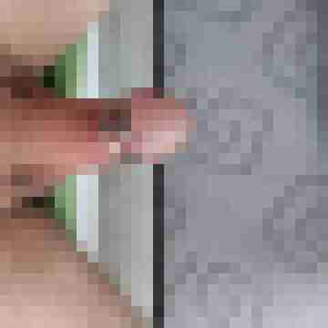 Stichling38