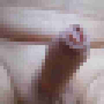 Obelix25