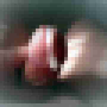 caudabrevis