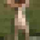 AnPoSy