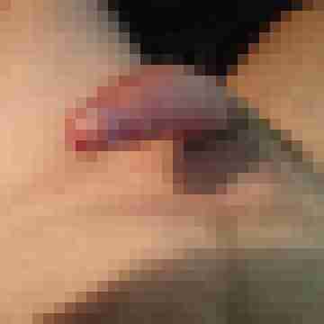 hornyxsar
