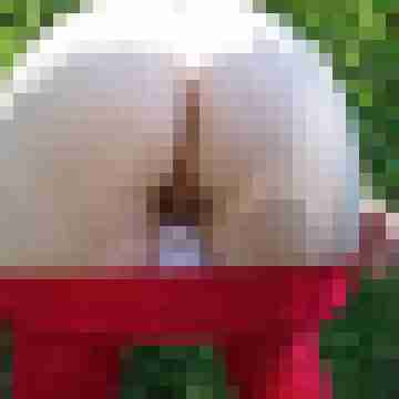 Pflaumenlutscher69