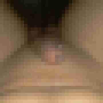 Escortler