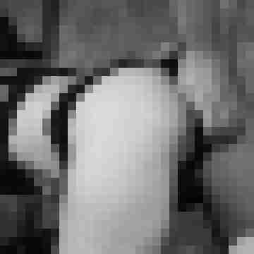 mariusfotograf