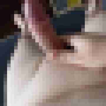 Robopf2