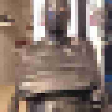 Manu_Frank