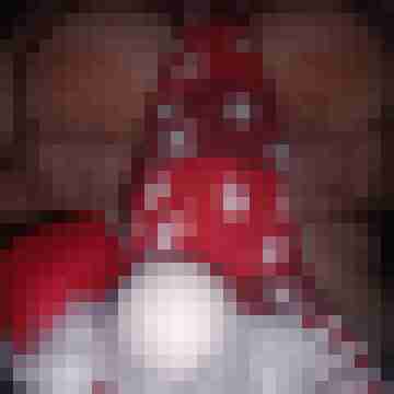 xBiPaarx