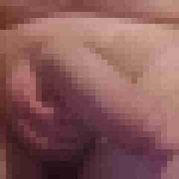 hornyxsar