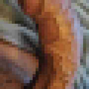 HomerJay81