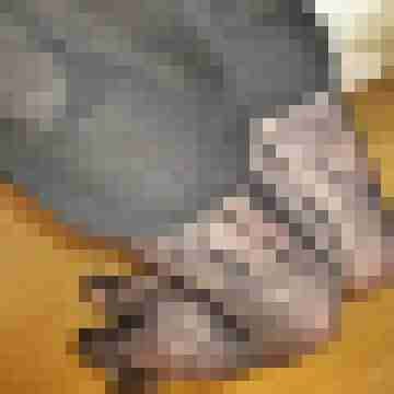 AnaStockings