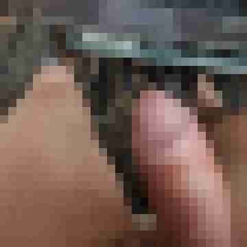 Netter069