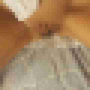 suche123345