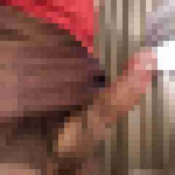 satiner