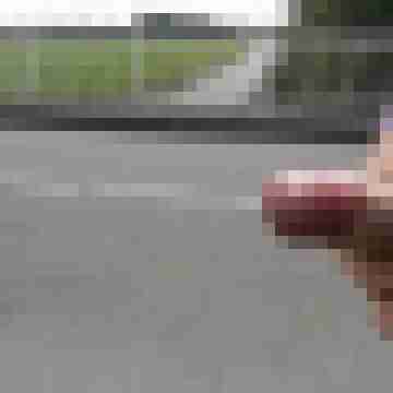 Nacktfrosch-xxl