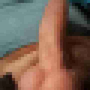 hornyxsar