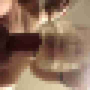 shavedcock7