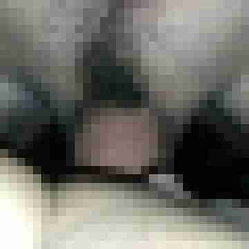 Kami_19
