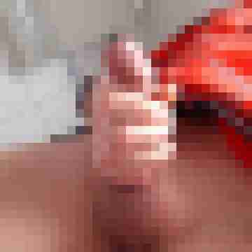 Ficker8419
