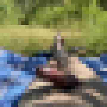 BiMann-NRW