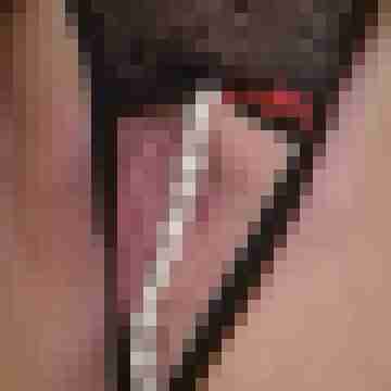 DomMeisterDevSub