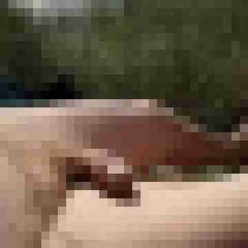Tscharlie7