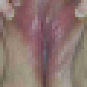 kwakse0171