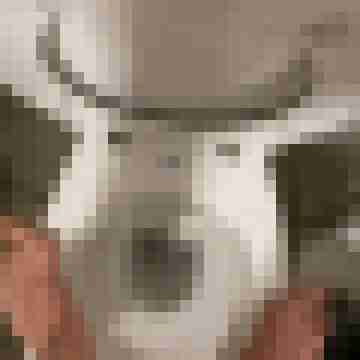 Hurenficker123