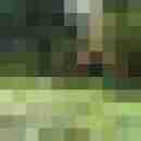 Bare__Glatze
