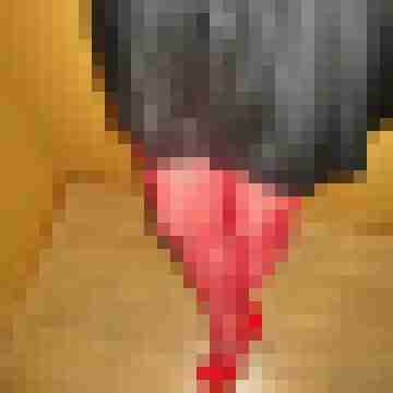 AnaStockings
