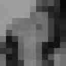 Lone_Wolf