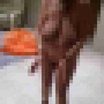 Letsy4u2c