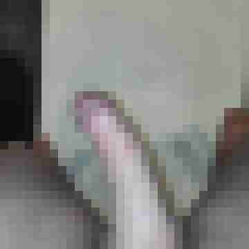 protz123