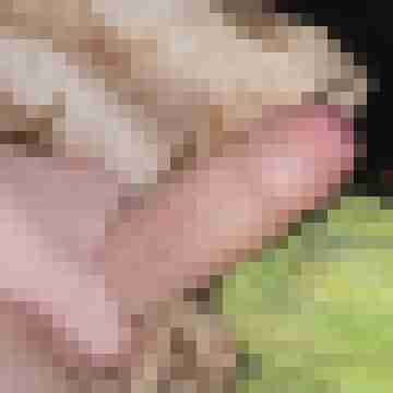 BDSM_PaarOG