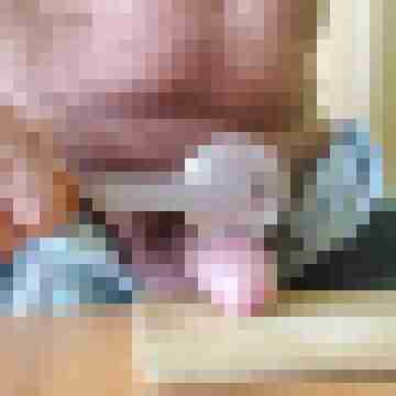 6 Bilder von pinsel60