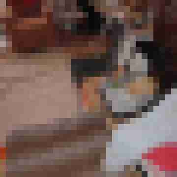 amsel27