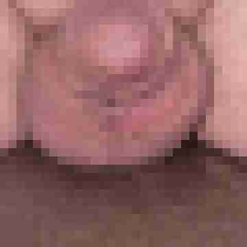 COCK-Lover