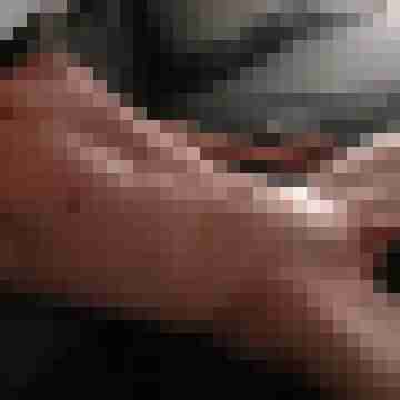 patte83