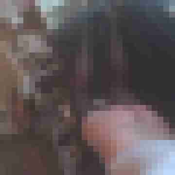 DWT_Neu_Lara