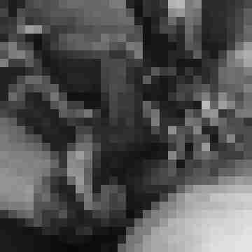 Phorus
