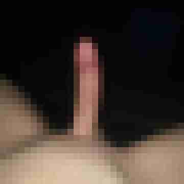 patte83