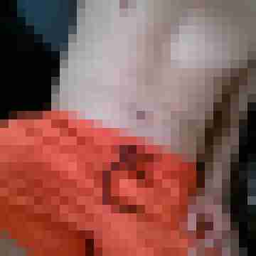 patte83