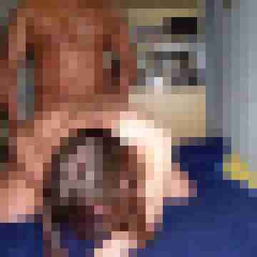 Das3drittebeine